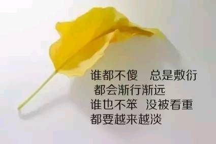 陽光心態(tài)正能量的句子短句,陽光心態(tài)正能量的句子簡短,陽光心態(tài)正能量的句子幽默