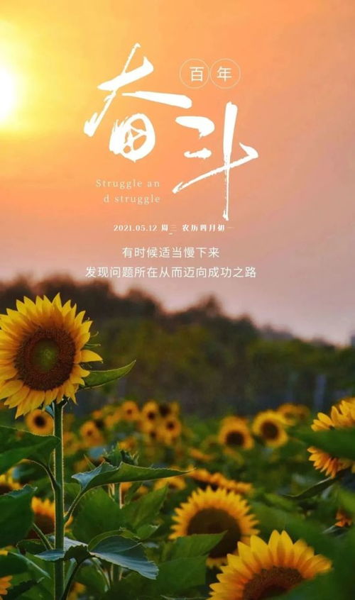 早上陽(yáng)光的句子正能量