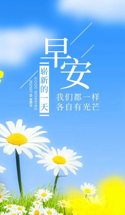 句子,能量,早上,陽(yáng)光