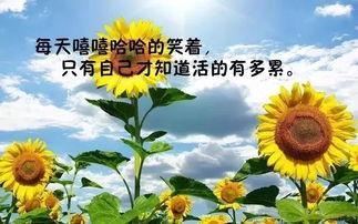 早安正能量的句子經(jīng)典語句,早安心語正能量的經(jīng)典語句,正能量問早安的經(jīng)典語句