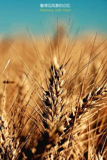 勵(lì)志正能量致工作奮斗的句子