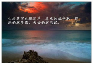 關(guān)于認(rèn)真堅(jiān)持的正能量的句子