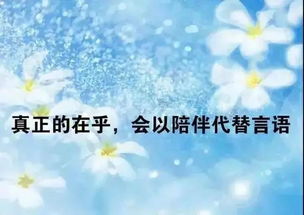 關(guān)于堅持的正能量句子,正能量優(yōu)秀句子,正能量滿滿的勵志句子