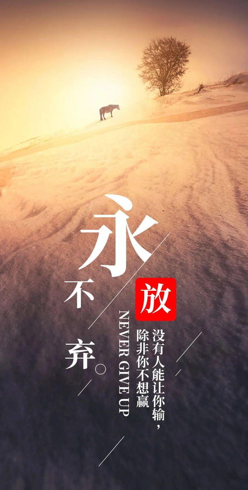 12月份正能量句子