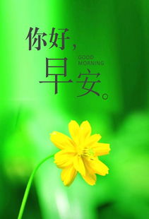 早安簡短唯美句子正能量