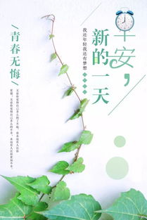 所需,句子,能量