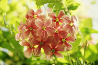 人生積極樂觀正能量句子名人,積極樂觀正能量的句子,女人積極樂觀正能量的句子