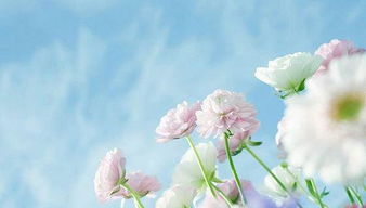 王志文勵志正能量的句子