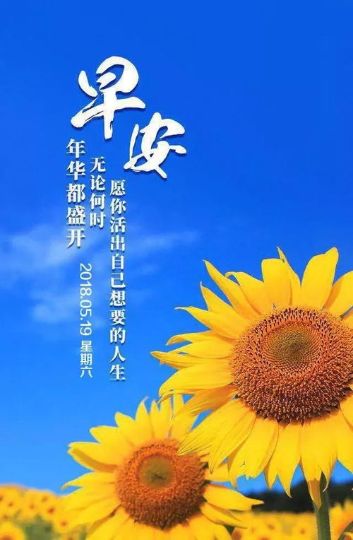 早安勵(lì)志正能量的句子,好心態(tài)早安正能量句子,早安語(yǔ)錄正能量的句子