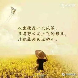 付出與收獲的正能量古句子