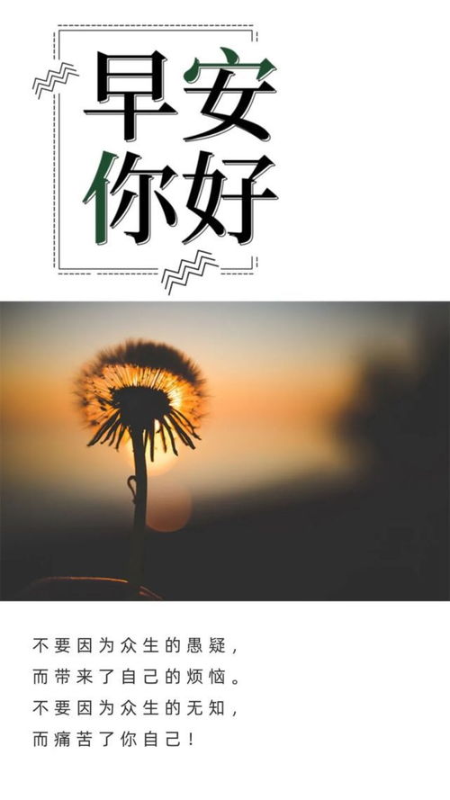 適合早上發(fā)朋友圈的勵志句子句句正能量