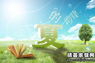 句子,能量,夏天,音樂