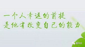 每日傳播正能量的句子