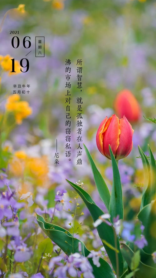 早上好的句子短語(yǔ)正能量帶圖,早上好的句子情人正能量短語(yǔ),早上好的句子正能量朋友圈短語(yǔ)