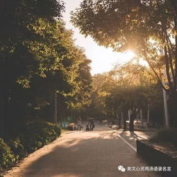 喜歡情感勵志正能量的句子,勵志上進(jìn)正能量句子,句句激勵自己!,人生情感正能量勵志的句子