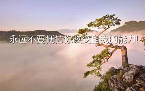 2021正能量的句子經(jīng)典語(yǔ)句和