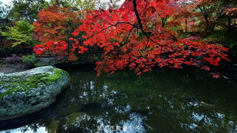 早上旅游發(fā)朋友圈的句子正能量