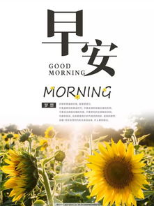 句子,心語,養(yǎng)生,能量