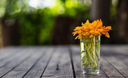 句子,能量,樂觀,團(tuán)隊(duì)