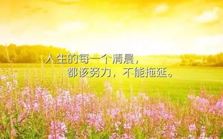 早安正能量的句子