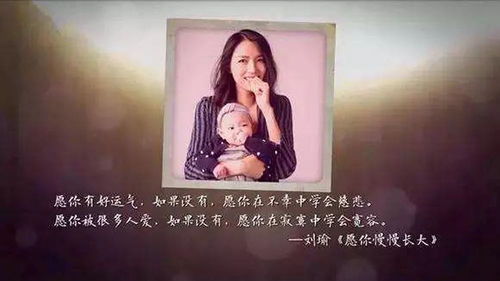 董卿說(shuō)的正能量句子