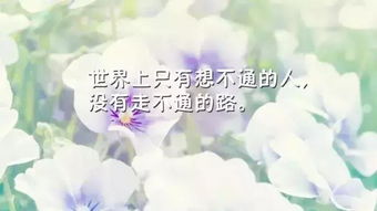 正能量句子勵志短句子微笑