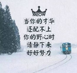 早分享正能量的句子,每日分享正能量句子,早會分享正能量句子