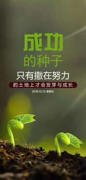 英語,句子,能量,優(yōu)美