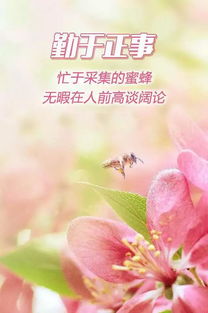 早安正能量勵志唯美句子,早安朋友圈正能量的唯美句子,早安說說正能量簡短唯美句子