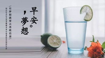 護(hù)膚品正能量的句子經(jīng)典語(yǔ)句,關(guān)于護(hù)膚品正能量的句子,護(hù)膚品正能量的美麗句子