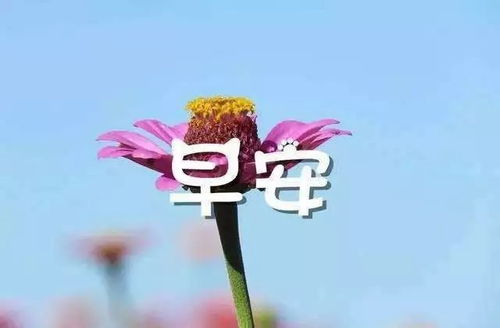 短語,句子,能量,美好