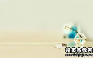 形容勵志正能量的句子