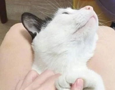 關(guān)于熬夜的正能量的句子,勵志搞笑正能量的句子,周六搞笑正能量的句子