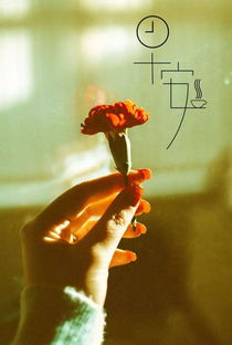 簡單早安正能量的句子說說心情