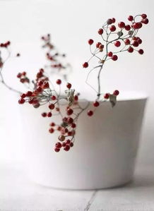 正能量積極向上的句子加