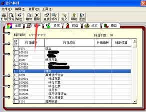會計科目中轉(zhuǎn)