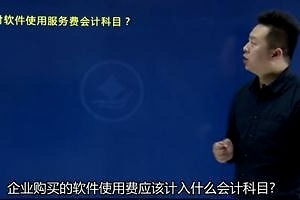 購(gòu)買(mǎi)軟件費(fèi)用應(yīng)進(jìn)那個(gè)會(huì)計(jì)科目