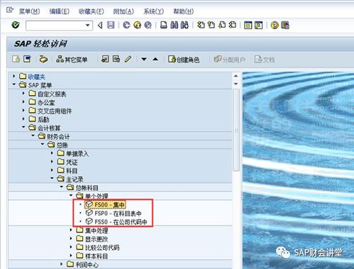 會計科目表sap是什么意思