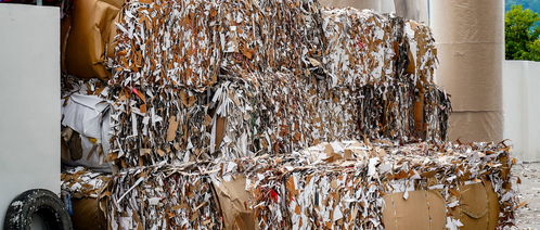 企業(yè)廢料收入計(jì)入會計(jì)科目