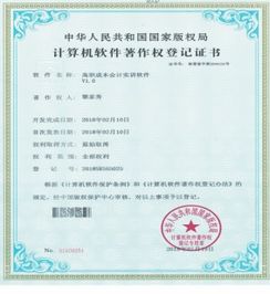 軟件年費計入哪個會計科目,軟件運維費計入哪個會計科目,軟件著作權(quán)申請費相關(guān)會計科目