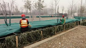 幾個,工地,會計科目