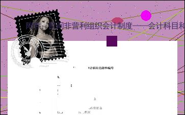 民間非營利組織會(huì)計(jì)制度會(huì)計(jì)科目,政府與非營利組織會(huì)計(jì)會(huì)計(jì)科目,民間非營利組織會(huì)計(jì)科目管理費(fèi)用