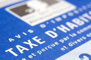 會計科目有沒有已交稅金