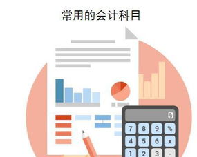 會計科目分類方法包括,會計科目分類方法有哪些,屬于會計科目分類方法的有