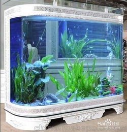 清洗空調(diào)會(huì)計(jì)科目,辦公室魚缸會(huì)計(jì)科目,單位買的魚缸入什么會(huì)計(jì)科目