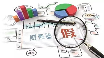 財(cái)務(wù)造假會計(jì)科目