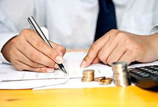 事務(wù)所審計(jì)做什么會(huì)計(jì)科目