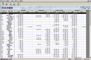 總預(yù)算會計科目余額表