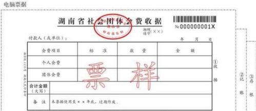 社會(huì)團(tuán)體會(huì)計(jì)科目會(huì)費(fèi)收入