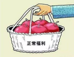 基層工會(huì)會(huì)計(jì)科目使用說明,基層工會(huì)發(fā)放福利會(huì)計(jì)科目,2022年基層工會(huì)會(huì)計(jì)科目